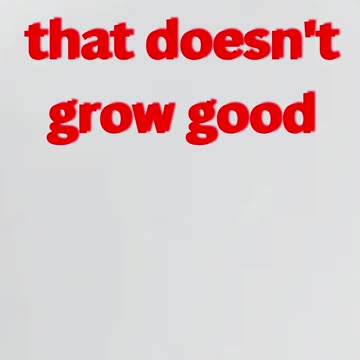 "The Fruit of a Tree Reveals Its Nature"Matthew 7:19#shorts #shortsvideo #youtube #yt #ytshortsindia