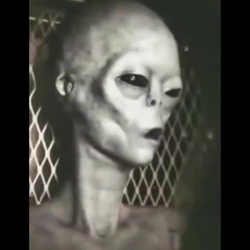 Dying Alien after crash