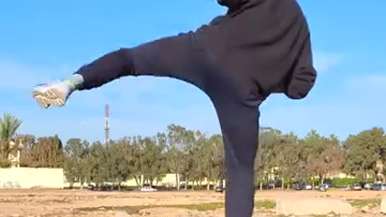 Hapkido/Taekwondo Kicking Techniques