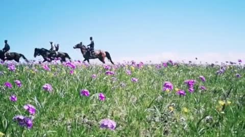 People riding horses crossing the field