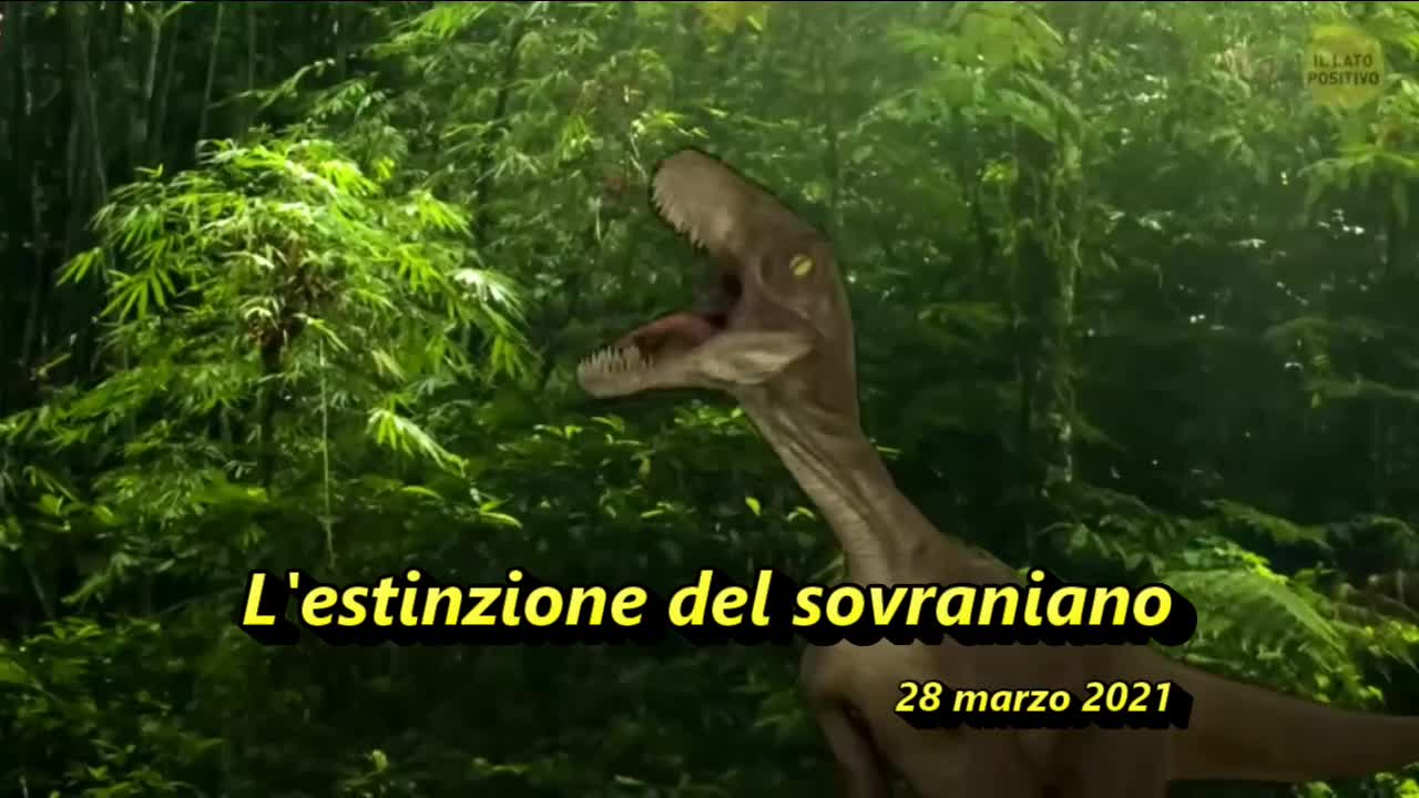 L'estinzione del sovraniano (era politica 2011-2021) - 28 marzo 2021