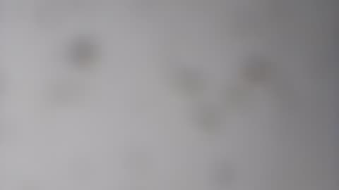 Motherf*** Out The House?