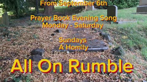 Mini Services I am starting September 6th