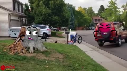 Elephant Attacks Car | Wild Animals Chasing Humans