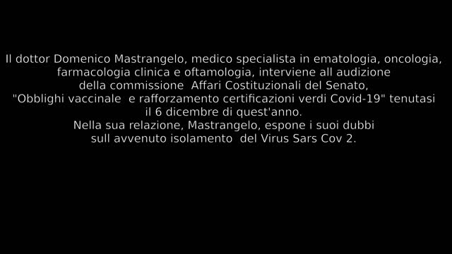 DOTTOR MASTRANGELO INTERVIENE ALLA COMMISSIONE AFFARI COSTITUZIONALI DEL SENATO