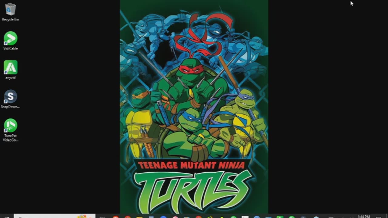 Teenage Mutant Ninja Turtles (2003) Review