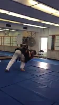 Hapkido