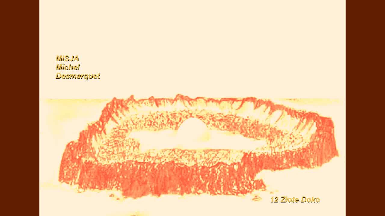 12 MISJA Michel Desmarquet