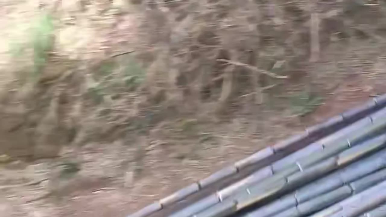 Funny video