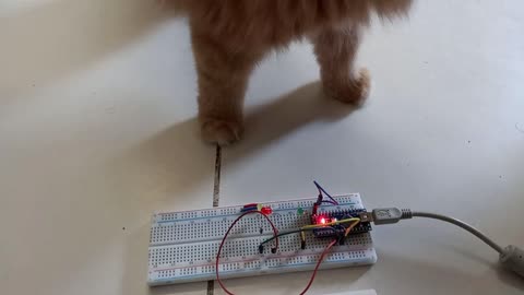 Arduino with mano