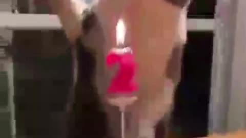 kitten "blowing out" candles on her own birthday