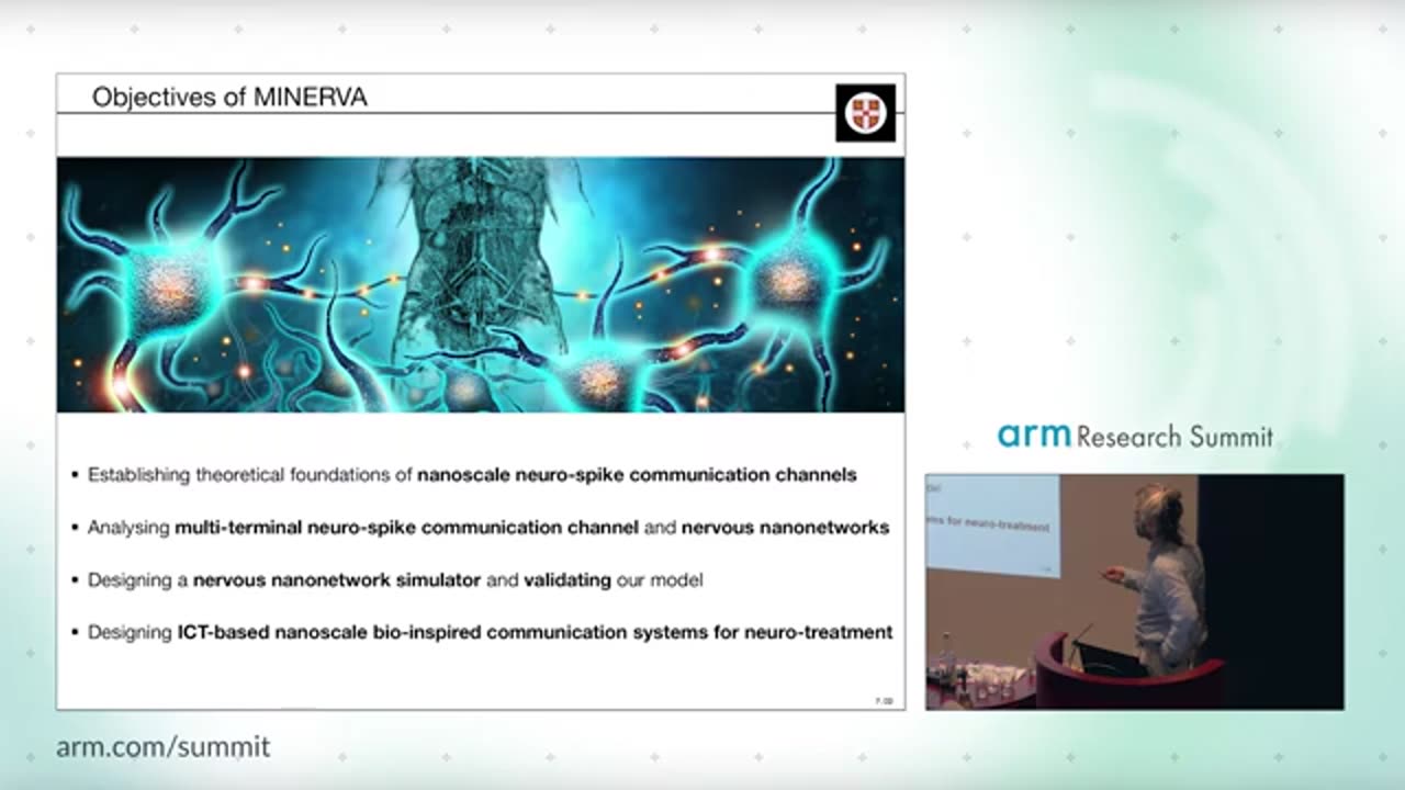 MINERVA: Communication Theoretical Foundations of Nervous System Towards Bio-Inspired Nanonetworks -ARM RESEARCH 2018