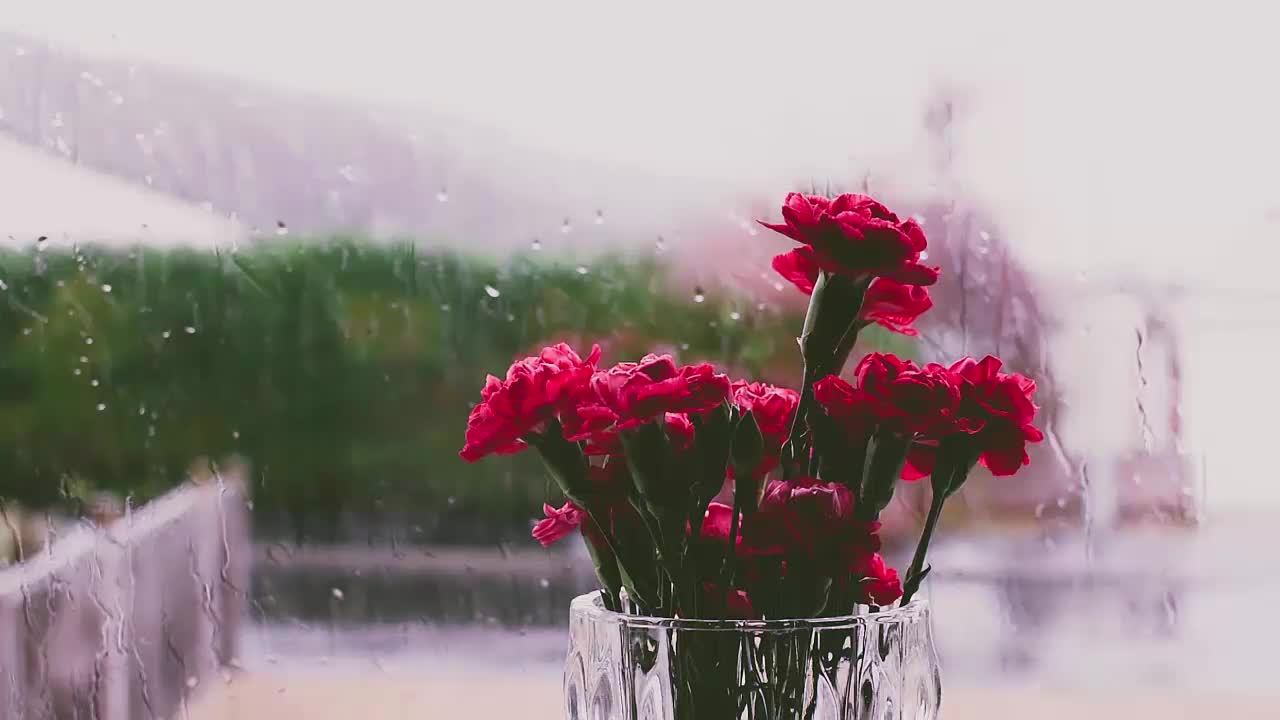 Sound of Rain in the Window With Flowers