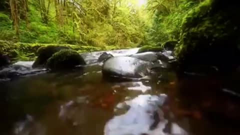 Time with God - July 2