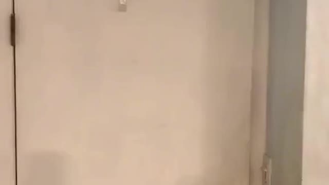 Best Anime Opening Club