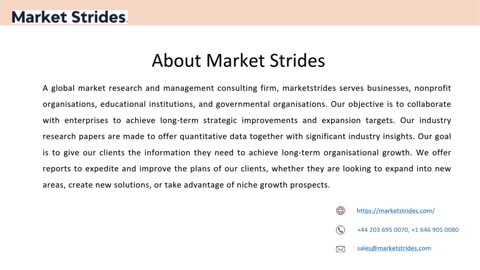 Ocarina Market: Global Industry Analysis and Forecast 2033 | Market Strides