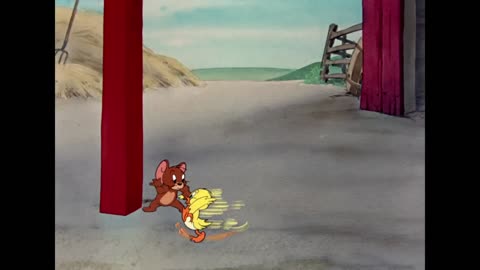 Tom Jerry Quack Quack its Little Quacker
