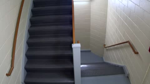 3882FHOB03Stair12_2021-01-06_00h40min00s363ms.mp4