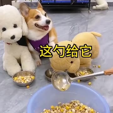 Regardez ce video 2024