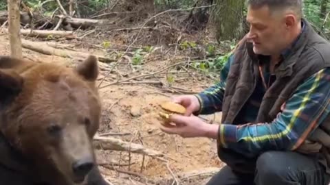 point Bear tries fast food for the first time.🧠