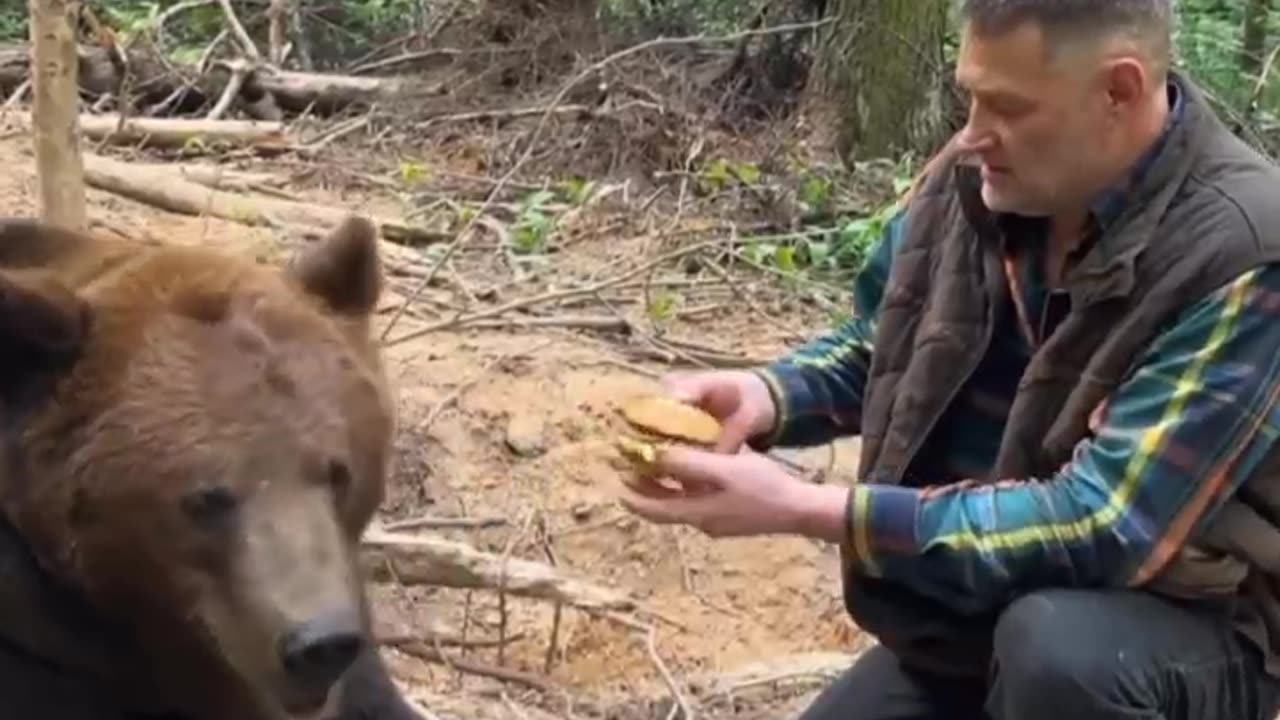 point Bear tries fast food for the first time.🧠