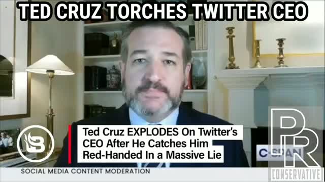Ted Cruz torches Twitter CEO