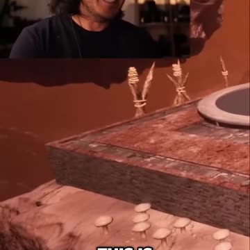 Ultimate Coordination Challenge: Can We Survive Together?