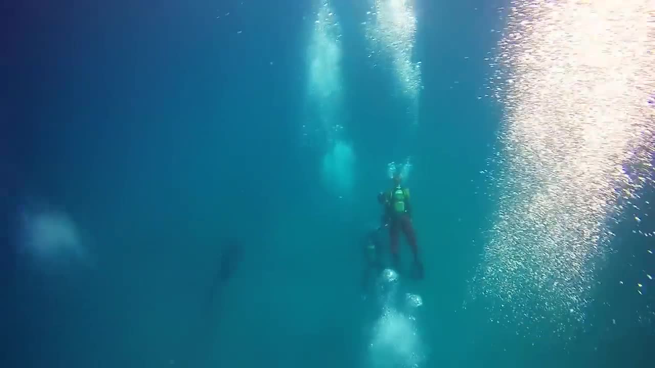 Museo Atlantico, Lanzarote - Feb 2017-1