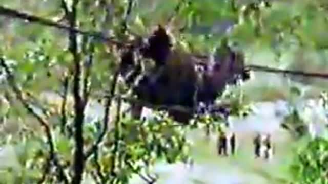 GRUPAMENTO 92