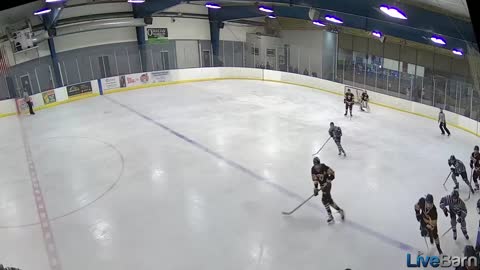 47 blue line goal
