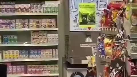 Giant Lizard climbing up Thailand's 7-eleven supermarket shelves
