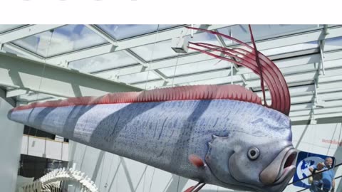 Doomsday fish.. Signs of impending doom.