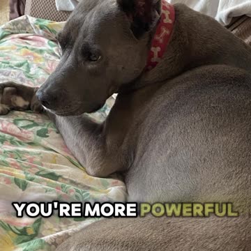 You’re stronger than you think