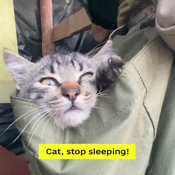 💙💛 Each warrior should have his own talisman that saves him