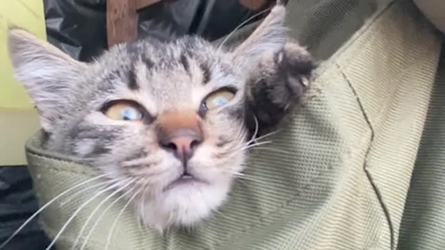 💙💛 Each warrior should have his own talisman that saves him