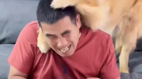 Puppy attacks owner