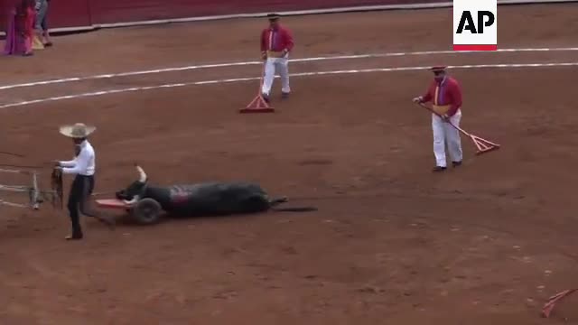 Mexico City legislature may ban bullfighting