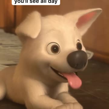 The cutest video you will see all day 😍