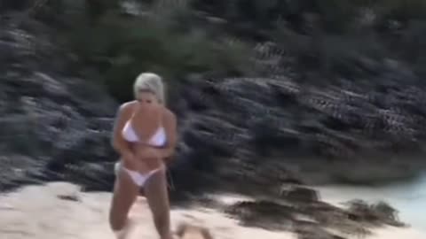 Dog prank