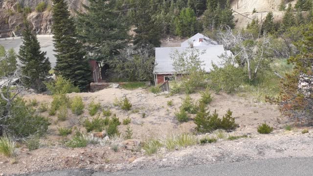 The Fox family in Central City Colorado