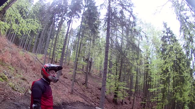 Biker Briefly Chased by Bear