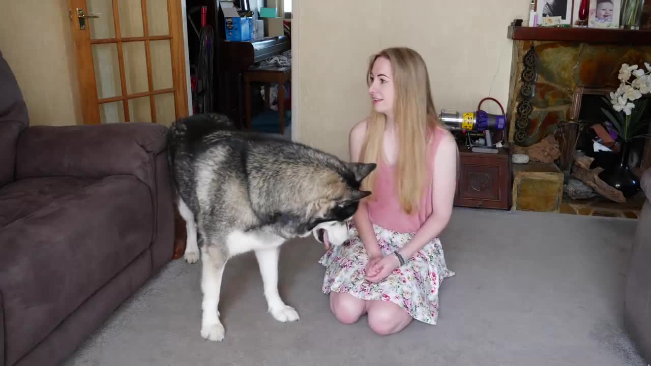 DOG Hates Being Ignored By Owner