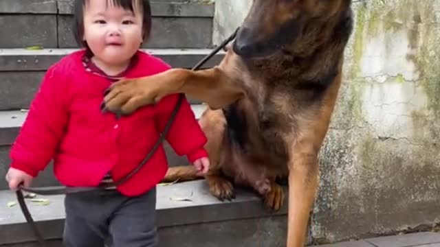 Cute Dog and Cute Baby Loves Each Other