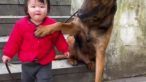 Cute Dog and Cute Baby Loves Each Other