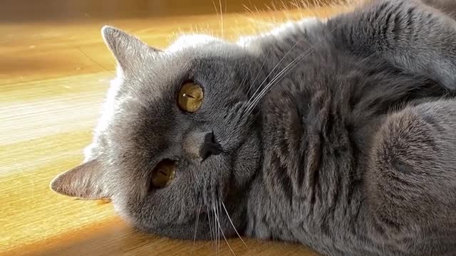 "Oh hi there, how’s it going?"