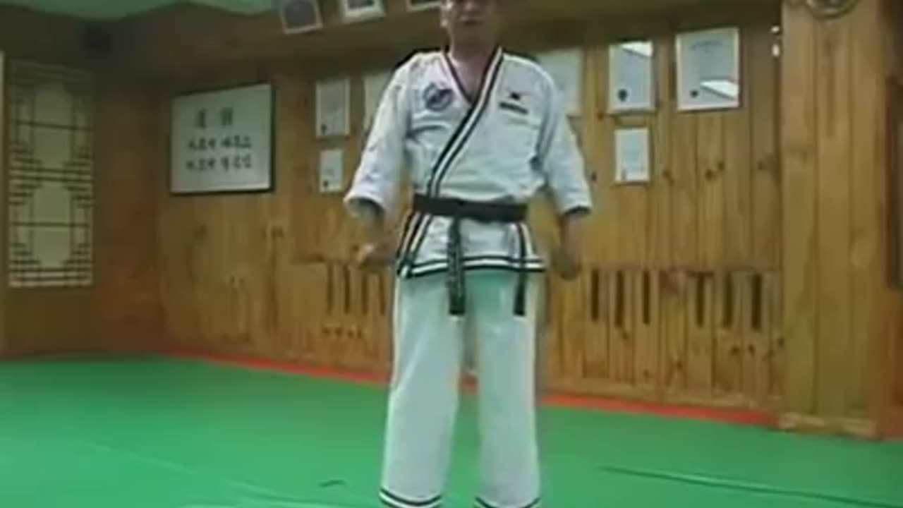 Jin Jung Kwan Hapkido