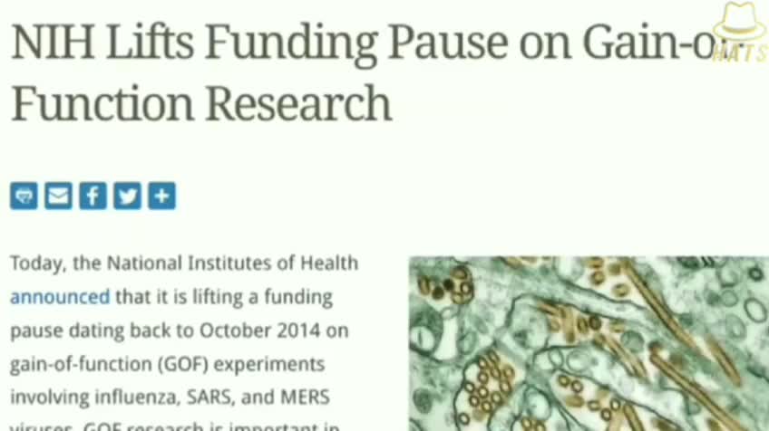 Medical practice and its real intention