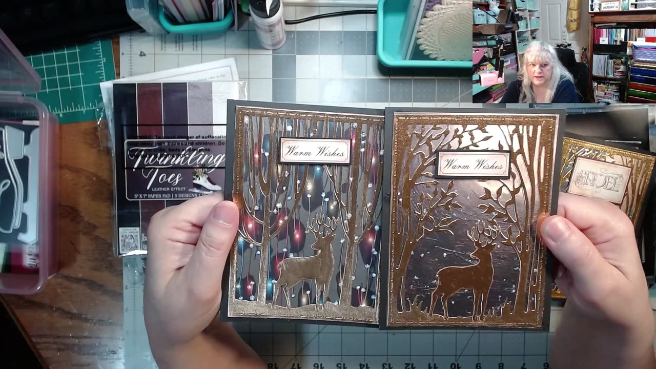 HSN Paper crafting kit Review