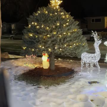 Ute Christmas decorations in front door