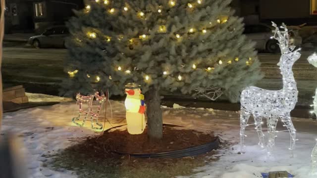 Ute Christmas decorations in front door
